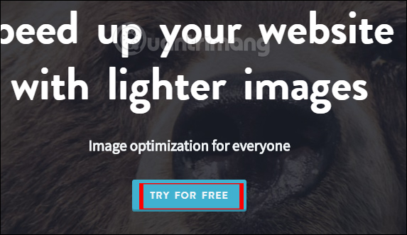 How to reduce the capacity of free online images Picture 1