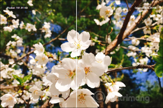 How to reduce the capacity of free online images Picture 19