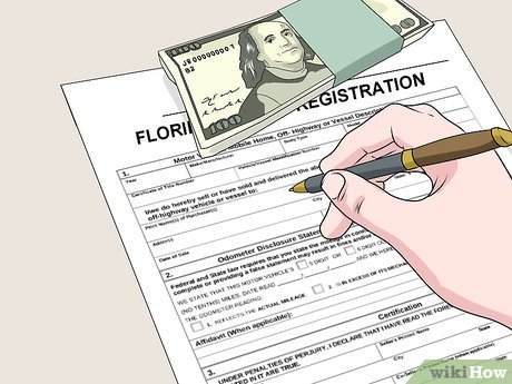 images 1 of How to Register a Car in Florida