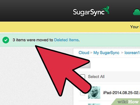 How to Remotely Wipe SugarSync Files on a Device Picture 9