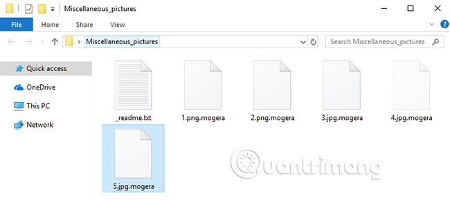 How to remove ransomware .Mogera Virus File Picture 1