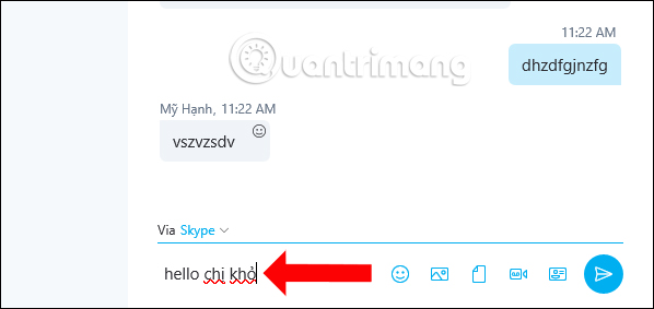 Skype