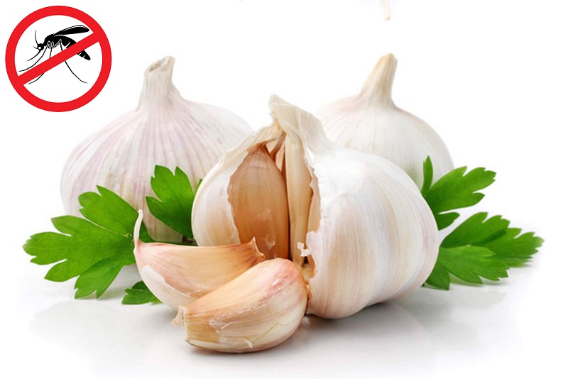 How to repel mosquitoes, killing mosquitoes in the bedroom effectively, non-toxic Picture 3