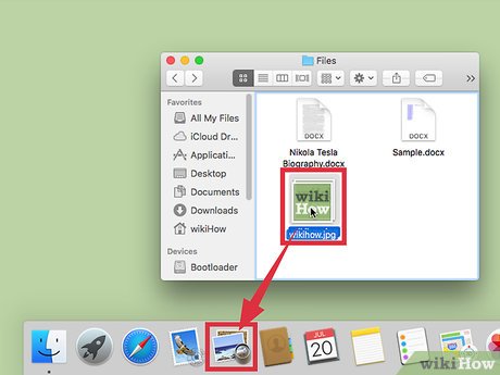 How to Resize Pictures (for Macs) Picture 2