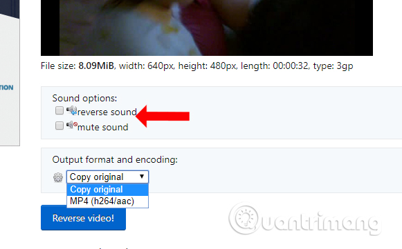 How to reverse video online for free Picture 2