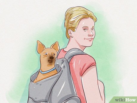 How to Ride the Cable Car in San Francisco Picture 19