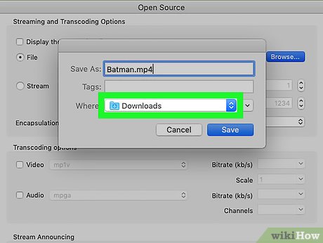 How to Rip DVDs with VLC Picture 30