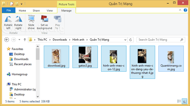 How to rotate images backwards, horizontally on computers without software Picture 4