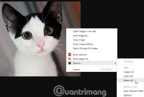 How to save files to multiple folders on the web browser Picture 5