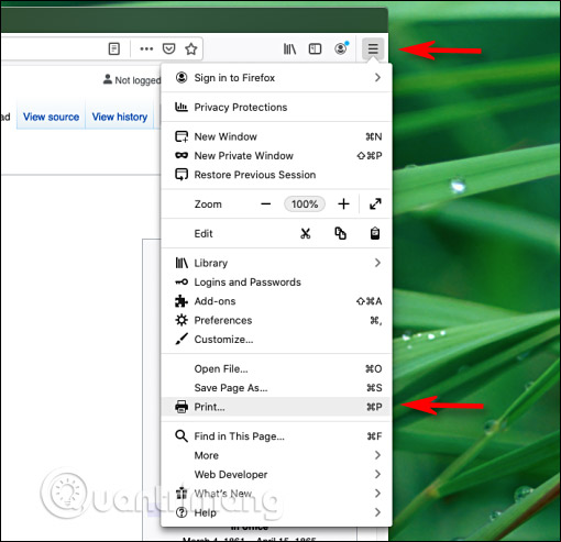 How to save Firefox websites as PDF Picture 4