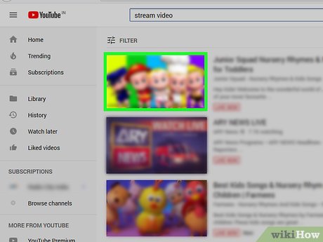 How to Save Streaming Video Picture 4