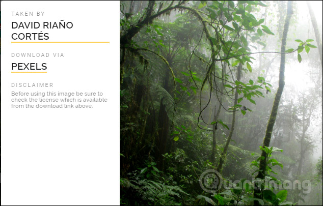 How to search for Pixabay images, Unsplash at the same time Picture 5