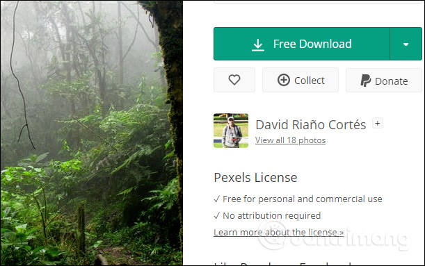 How to search for Pixabay images, Unsplash at the same time Picture 6