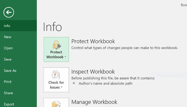 How to set Excel password to secure data file Picture 2