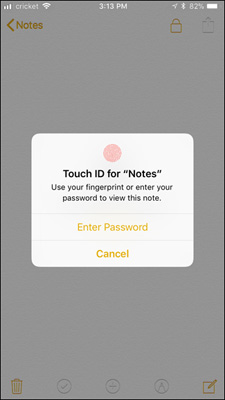 How to set password for Notes application on iOS 11 Picture 7