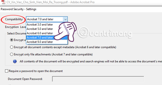 How to set PDF file password using Adobe Acrobat Picture 4