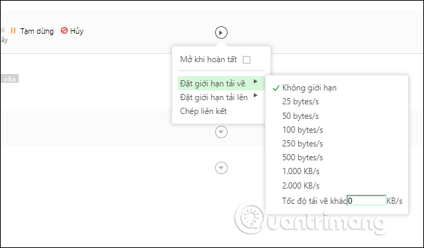 How to set up Coc Coc default download torrent Picture 4