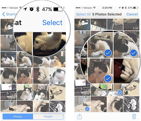 How to share photos on iPhone with Family Sharing Picture 5