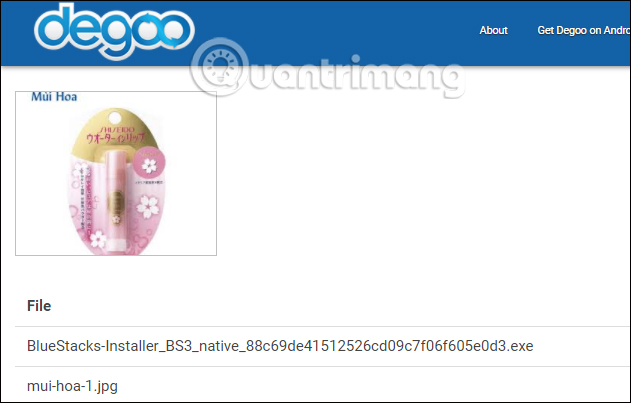How to share your self-destruct file with Degoo Picture 6