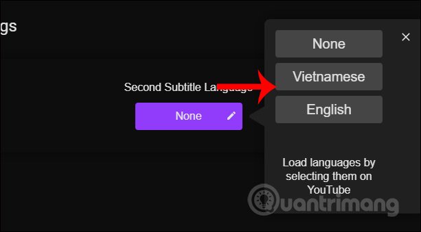 How to show 2 subtitles in parallel on YouTube videos Picture 5