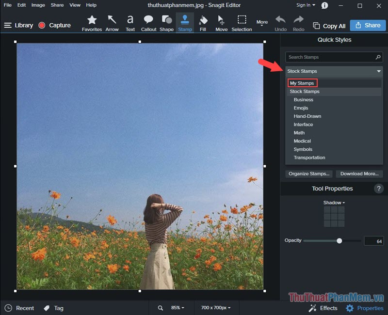 How to stamp image copyright with Snagit extremely fast and beautiful Picture 6
