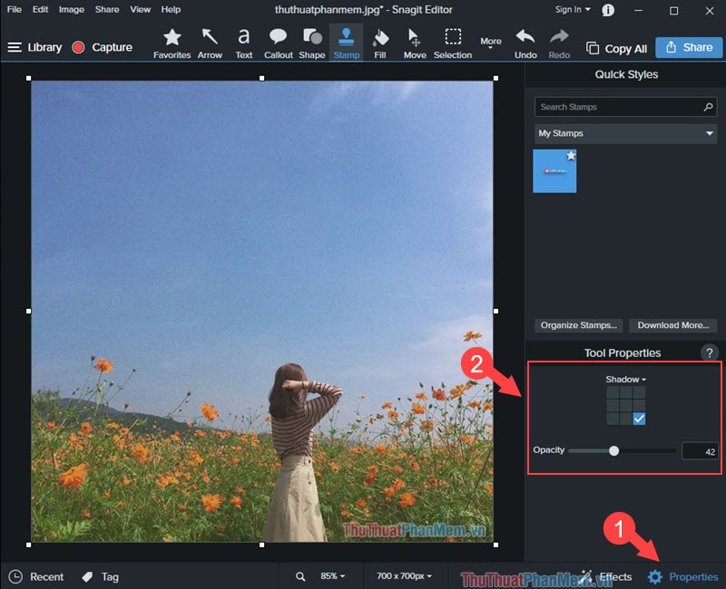 How to stamp image copyright with Snagit extremely fast and beautiful Picture 8