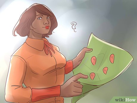 How to Start an Online Car Dealership in California Picture 8