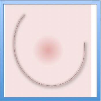 How to Start Making a Breast Icon Picture 2