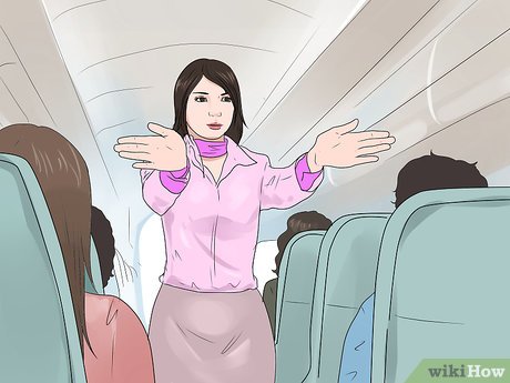 How to Survive a Plane Crash Picture 15