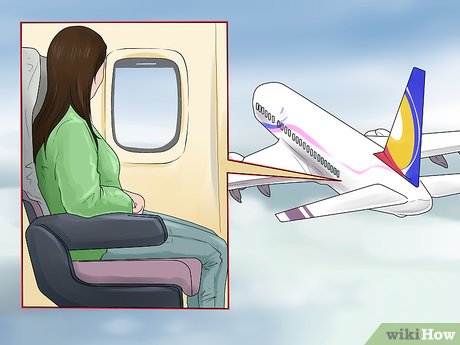 How to Survive a Plane Crash Picture 3