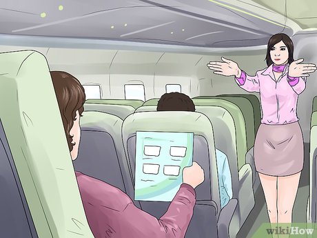 How to Survive a Plane Crash Picture 4