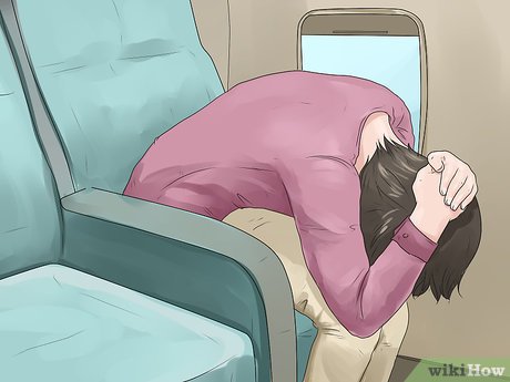 How to Survive a Plane Crash Picture 8