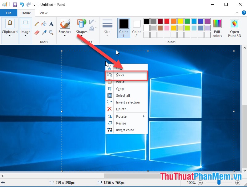 How to take a computer screen shot Picture 9