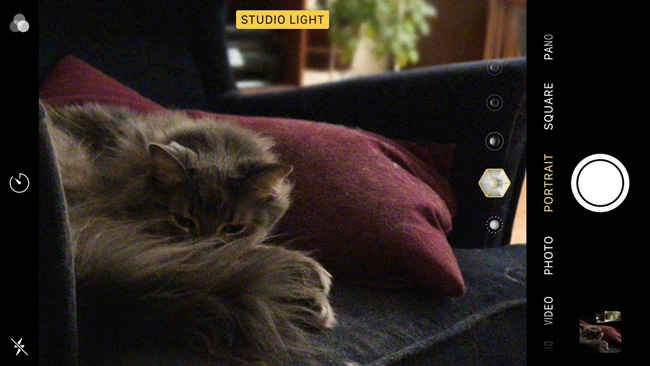 How to take a photo in Portrait and Portrait Lighting mode on iPhone 7 Plus and 8 Plus Picture 2