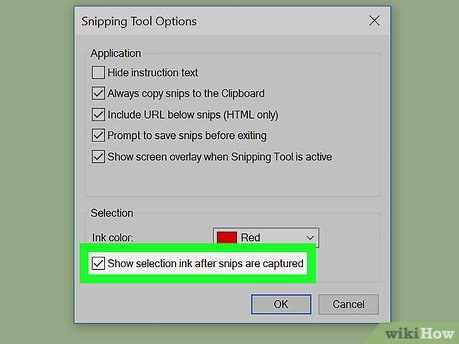 Picture 20 of How to Take a Screenshot in Microsoft Windows