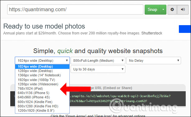 How to take a screenshot of the website Picture 6
