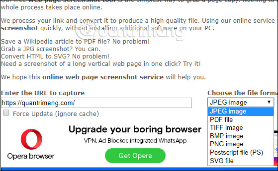 How to take a screenshot of the website Picture 8