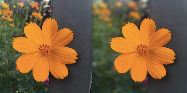 How to take photos to remove fonts on old phones Picture 15