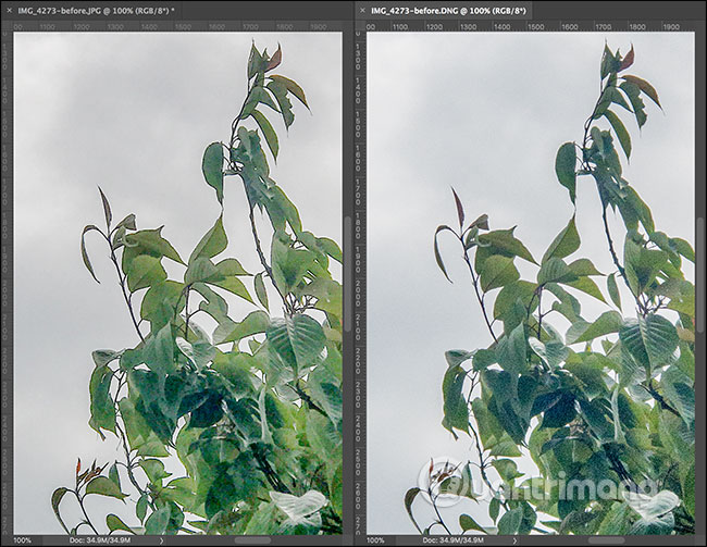 How to take RAW photos on iPhone Picture 2