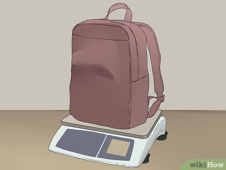 How to Take Your Bike on the Train Picture 10