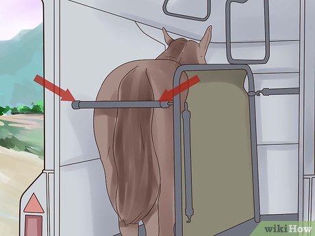 How to Trailer a Horse Picture 11