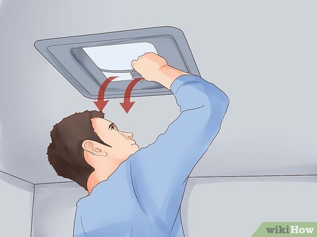 How to Trailer a Horse Picture 12