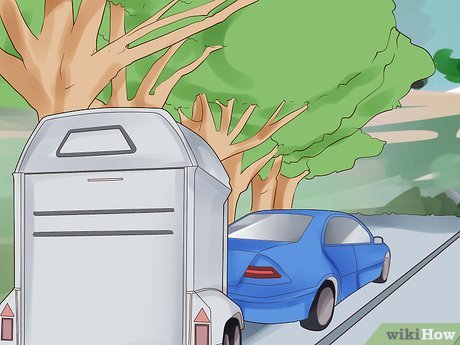 How to Trailer a Horse Picture 15