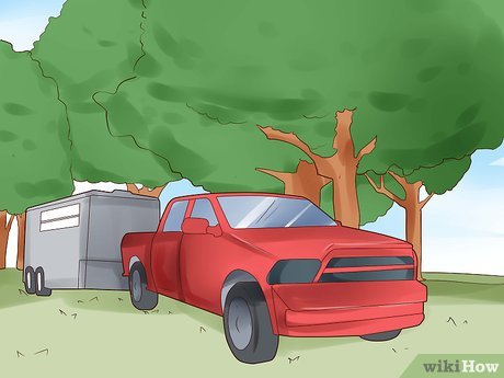 How to Trailer a Horse Picture 16