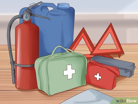 How to Trailer a Horse Picture 3