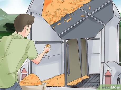 How to Trailer a Horse Picture 4