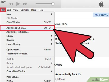 How to Transfer a Internet Video Clip to a Cell Phone Memory Card Picture 5