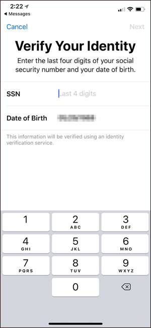 How to transfer money via Apple Pay Cash iMessage on iPhone Picture 3