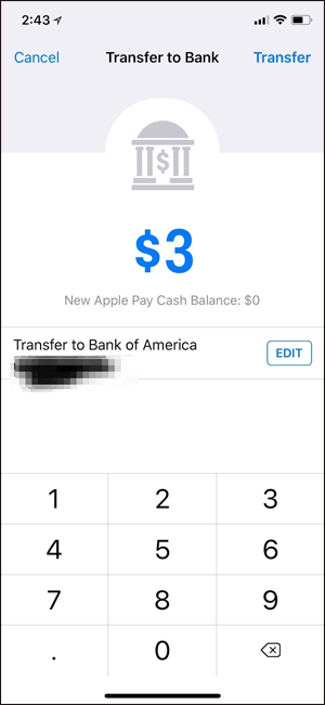How to transfer money via Apple Pay Cash iMessage on iPhone Picture 8