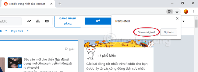 How to translate web pages into Vietnamese, English or any language Picture 4